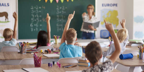 Scuola a Cosenza, altre cattedre a disposizione dei precari LA SUDDIVISIONE