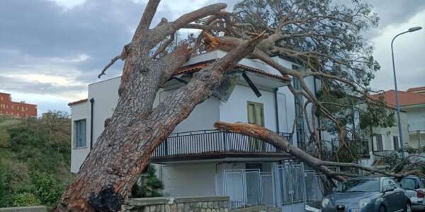 Allerta meteo in Calabria, chiusa la Statale 177: traffico veicolare deviato sulla Sp 276